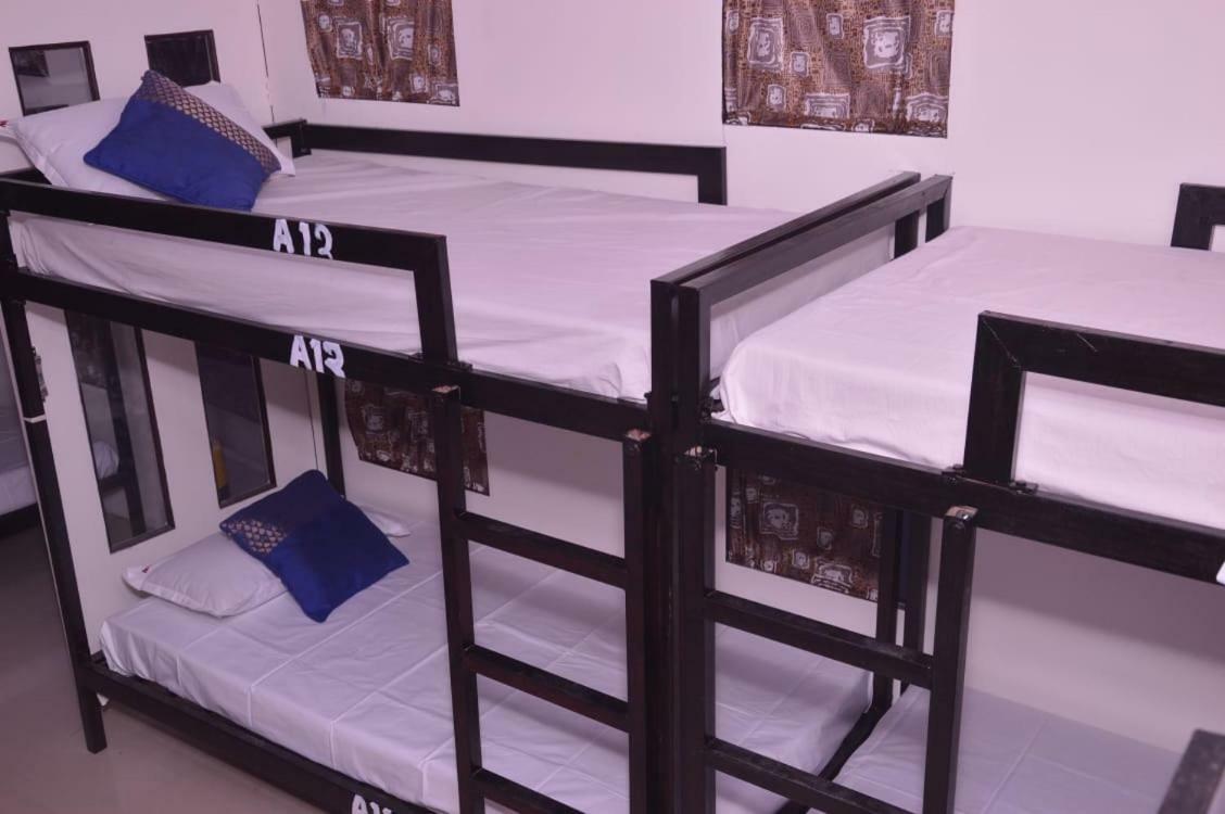 Citybackpacker Hostel 뉴델리 외부 사진